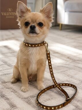 Valentino Garavani Rockstud Leather Dog Collar & Leash Set